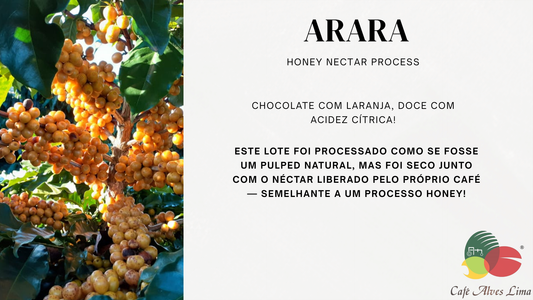 Café Especial Arara - Chocolate & Laranja Cítrica Natural