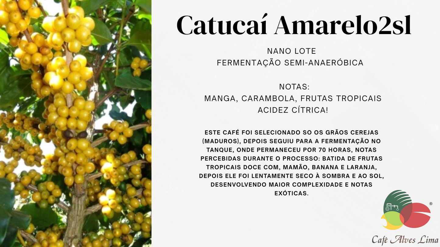 Café Exótico Catucaí Amarelo — Frutado com Acidez Cítrica Refrescante