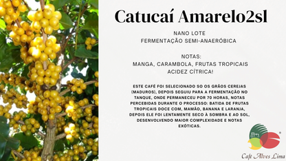 Café Exótico Catucaí Amarelo — Frutado com Acidez Cítrica Refrescante
