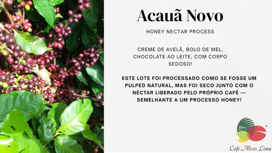 Café Especial Acauã Novo | Notas de Avelã com Pão de Mel