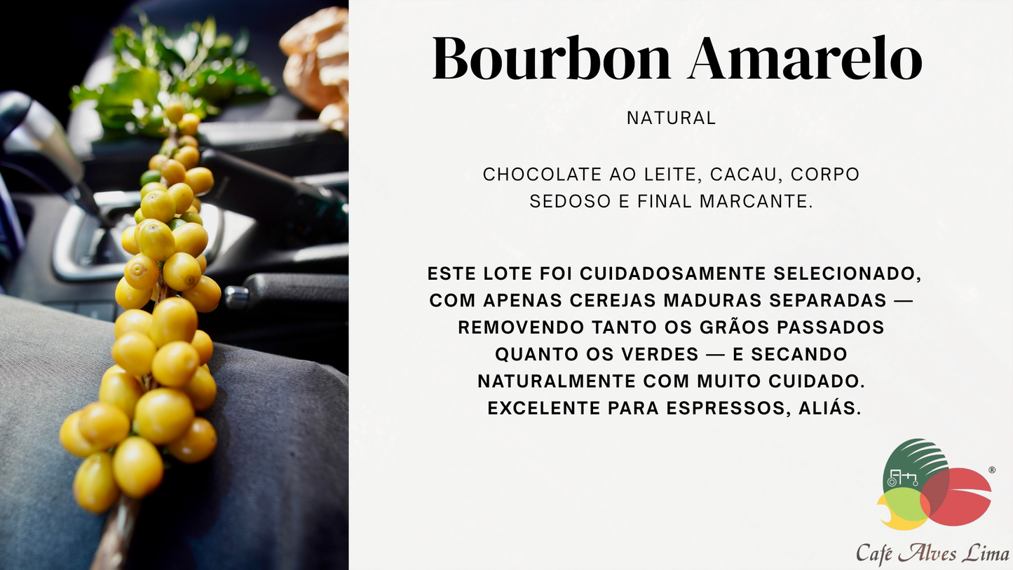 Café Especial – Bourbon Amarelo, Cereja Natural