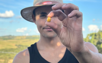 Café Especial Arara - Chocolate & Laranja Cítrica Natural
