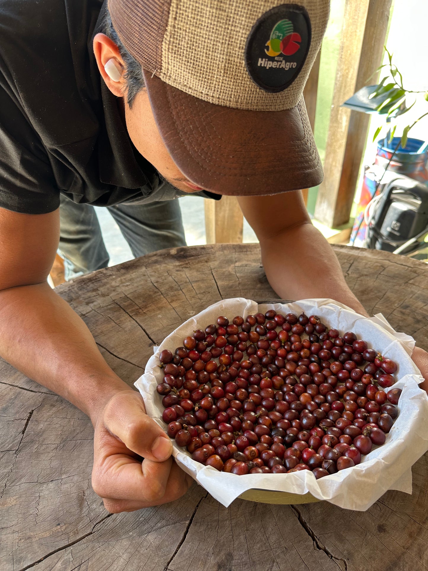 Café Especial Acauã Novo | Notas de Avelã com Pão de Mel